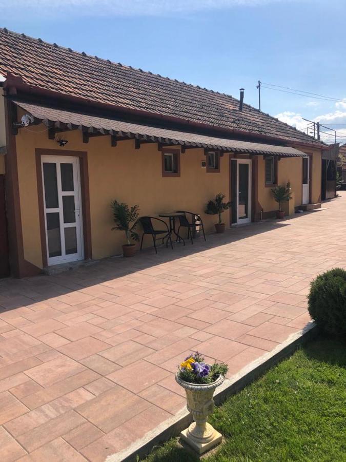 Casa Alexia Hotel Hateg Exterior photo