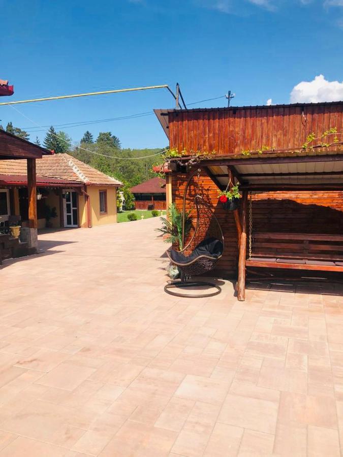 Casa Alexia Hotel Hateg Exterior photo