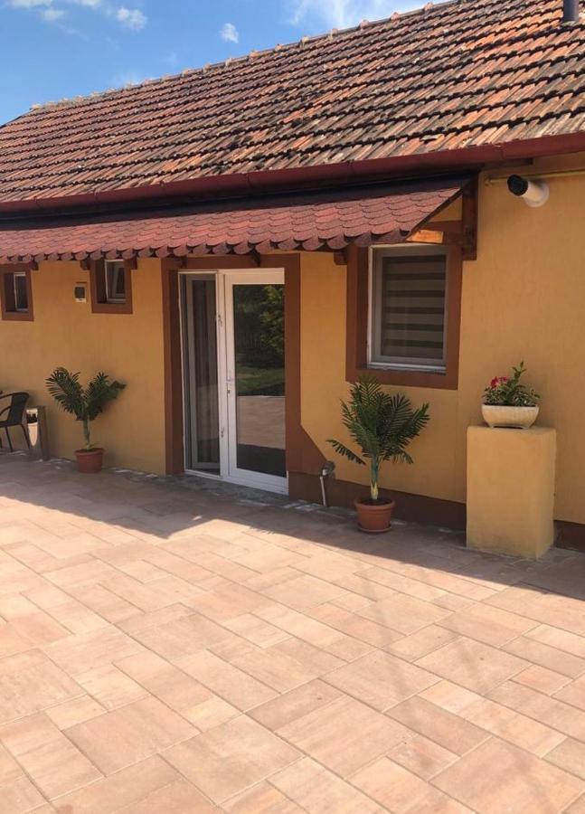 Casa Alexia Hotel Hateg Exterior photo